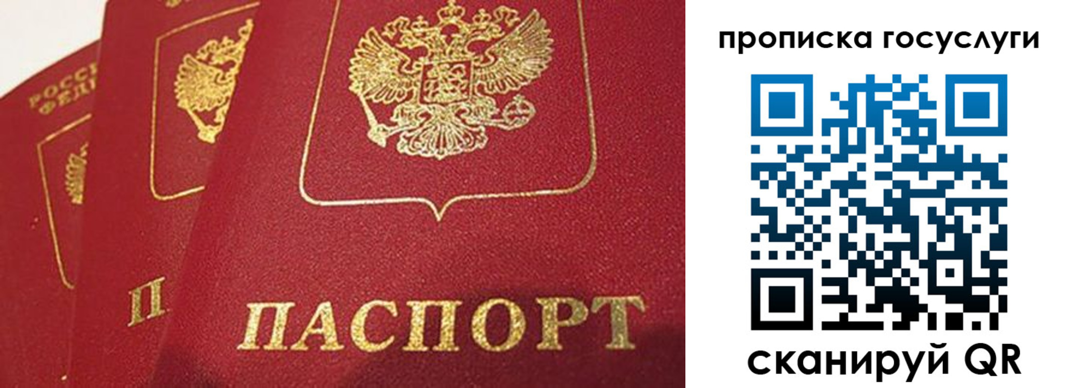 купить прописку в Ярославле